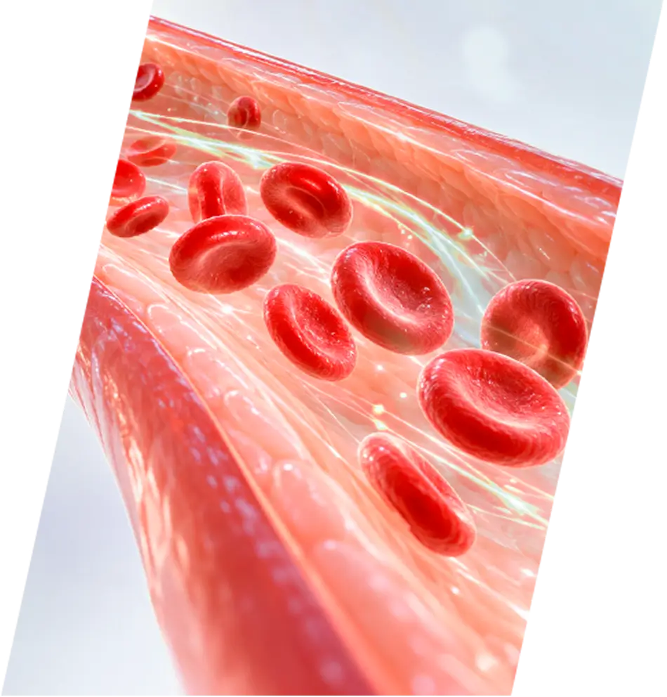 Block Image